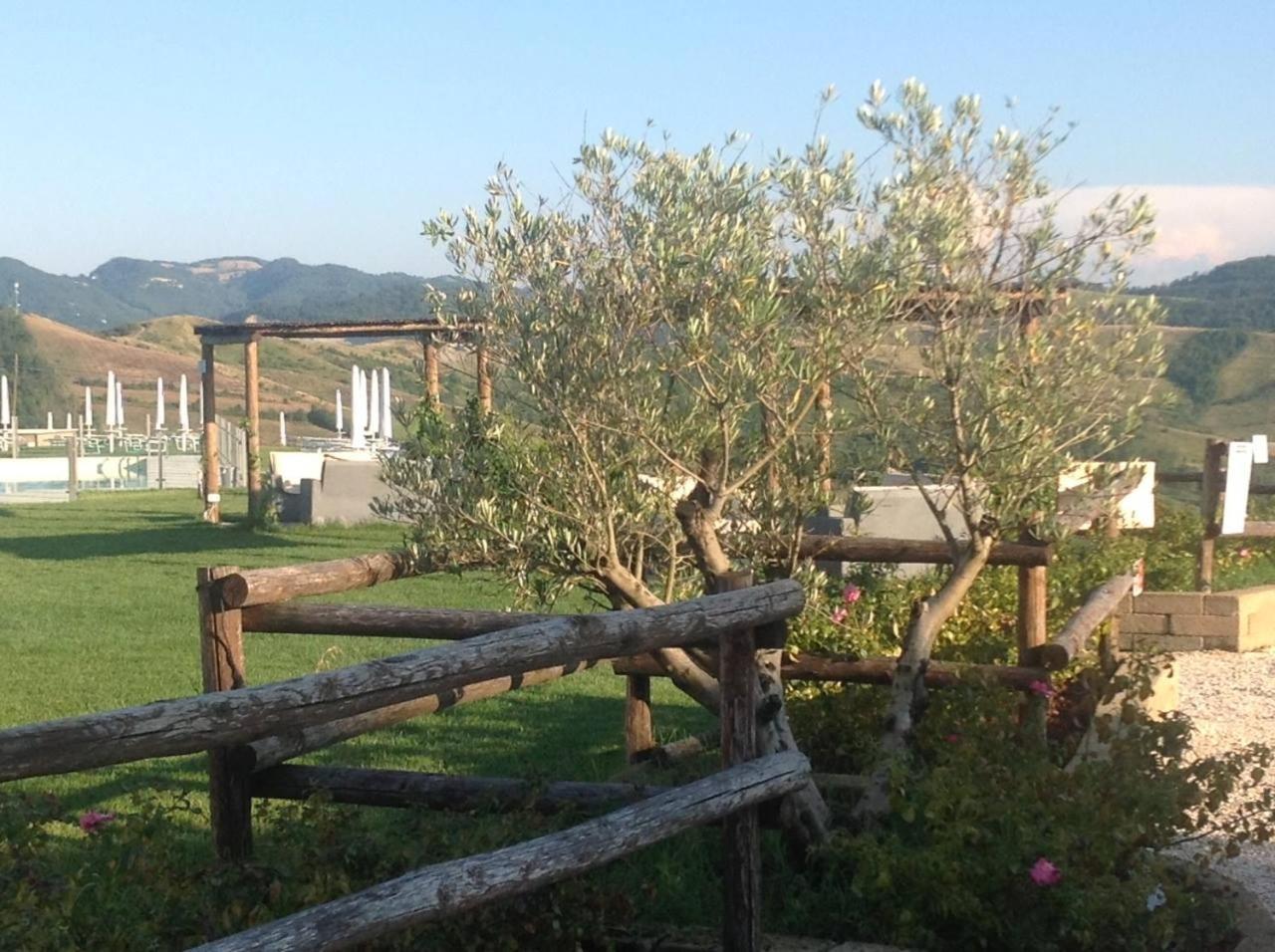 Agriturismo Il Ciuffo Hotel Pianoro Esterno foto